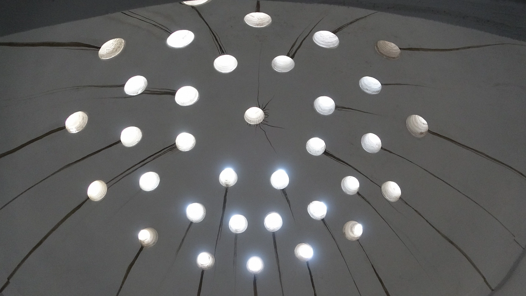 Osmanlı tarihi yeniden ayağa kaldırılıyor