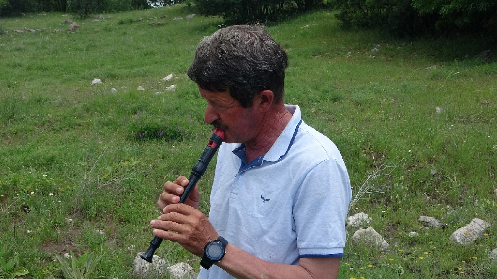 Sürülerini Flüt Eşliğinde Otlatan Çoban Yüksek Verim Alıyor