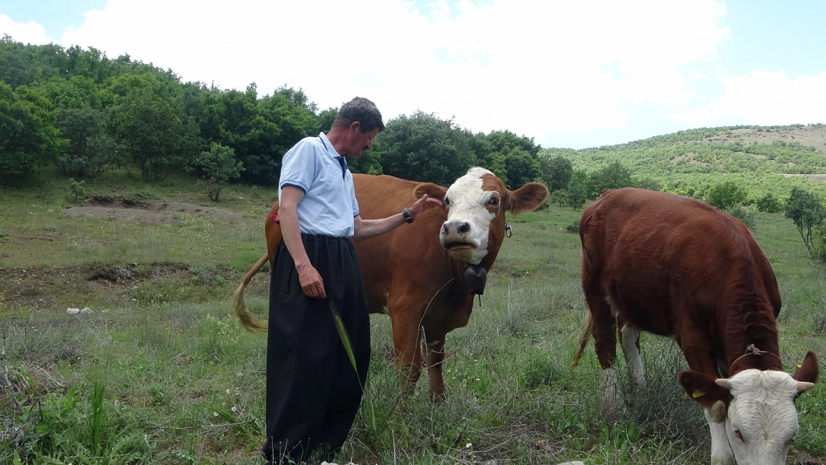 Sürülerini Flüt Eşliğinde Otlatan Çoban Yüksek Verim Alıyor