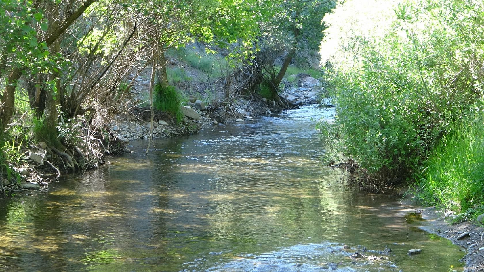 Sahibi Vefat Edince Faaliyeti Durdu! 90 Yıldır Zamana Direniyor...
