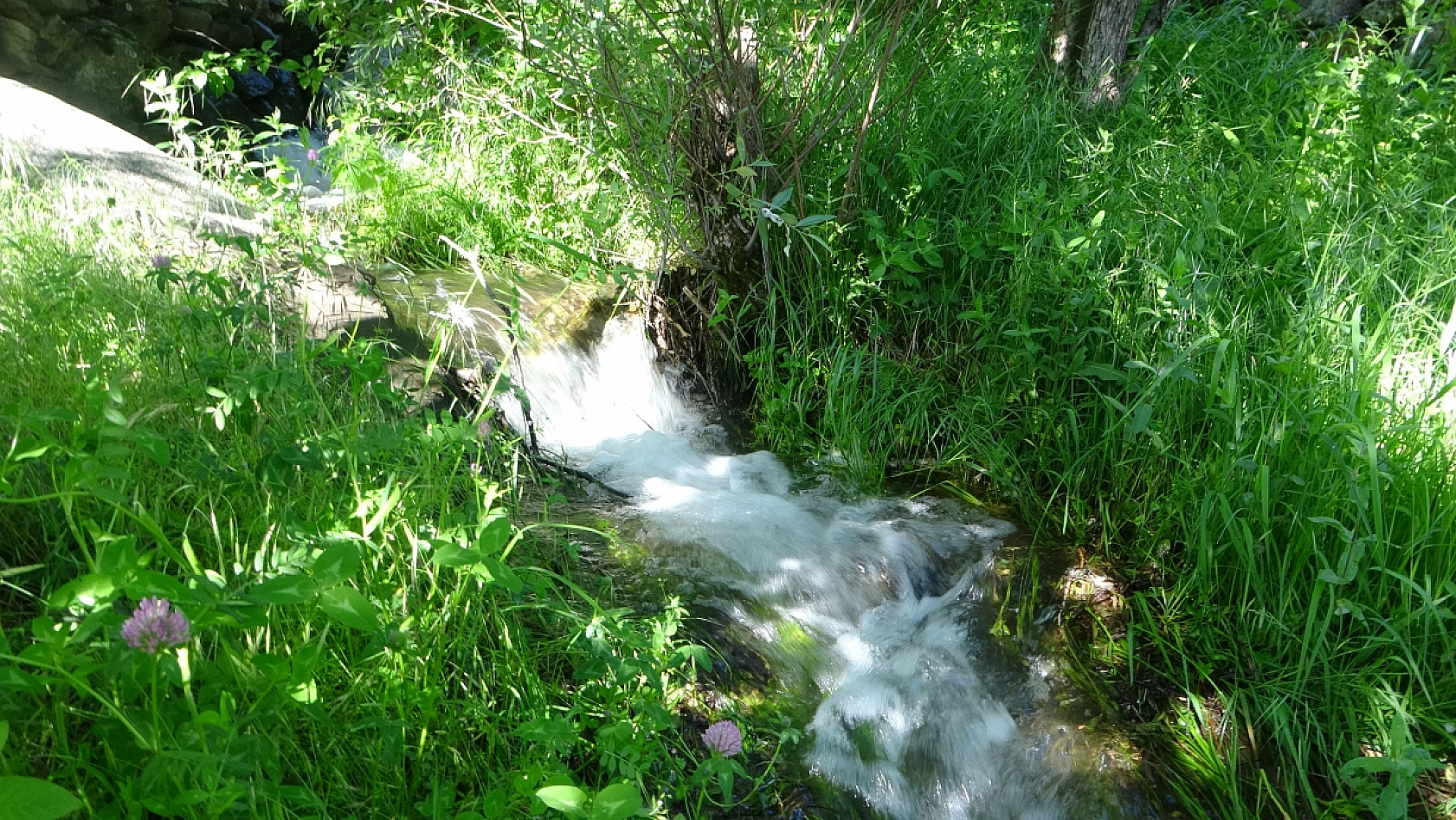 Sahibi Vefat Edince Faaliyeti Durdu! 90 Yıldır Zamana Direniyor...