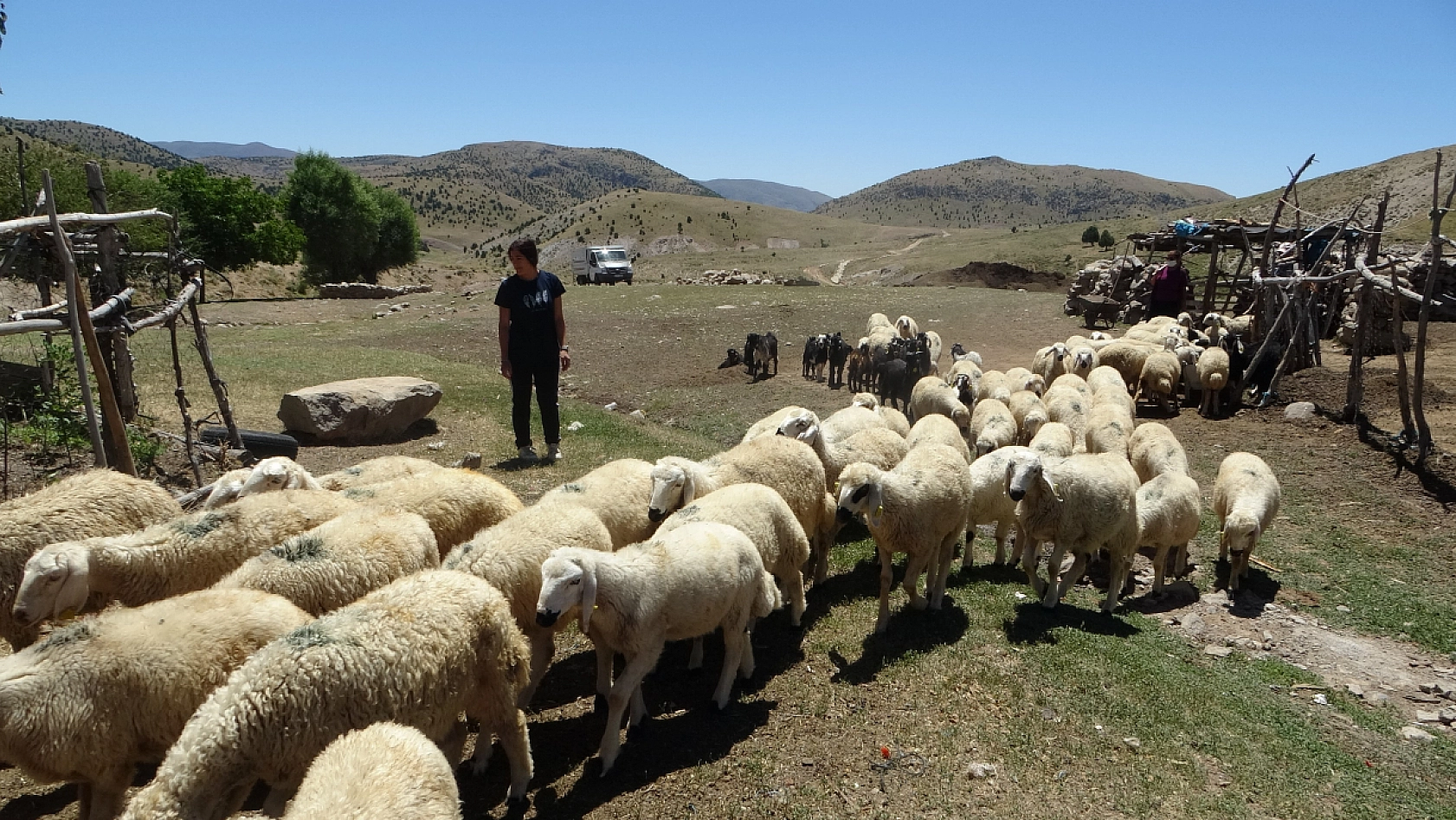 Malatya'da bankacılık mezunu ama 5 ayını bin 800 rakımlık o yerde geçiriyor.