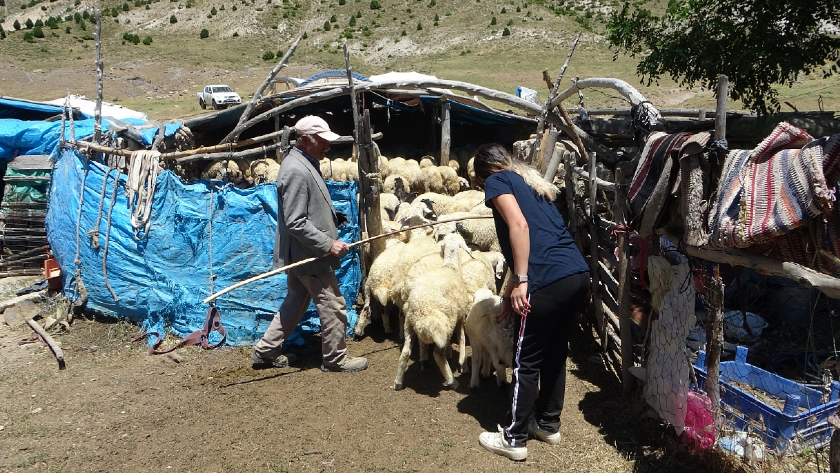 Malatya'da bankacılık mezunu ama 5 ayını bin 800 rakımlık o yerde geçiriyor.