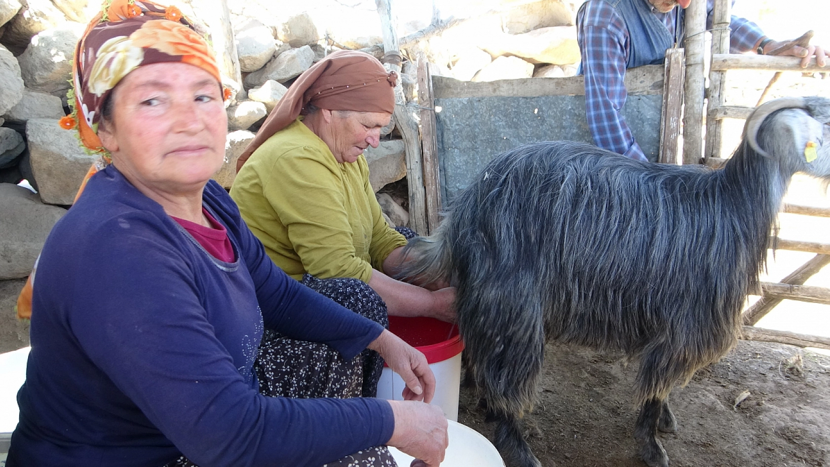 Malatya'da bankacılık mezunu ama 5 ayını bin 800 rakımlık o yerde geçiriyor.