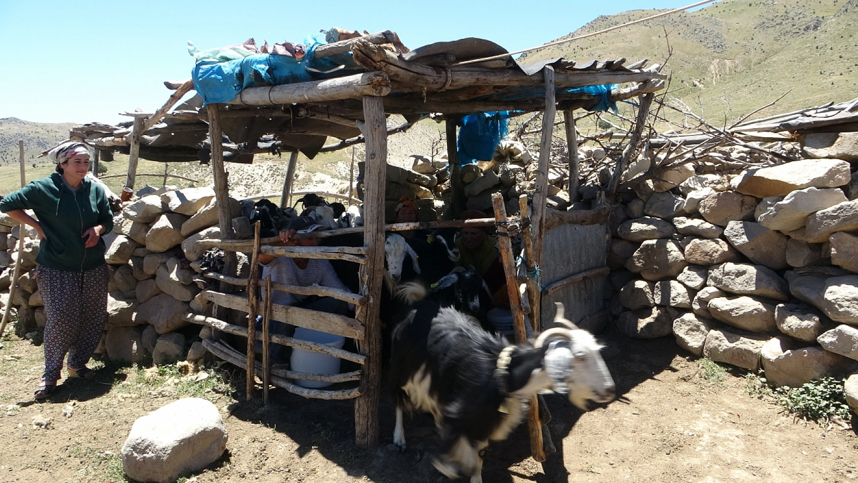 Malatya'da bankacılık mezunu ama 5 ayını bin 800 rakımlık o yerde geçiriyor.