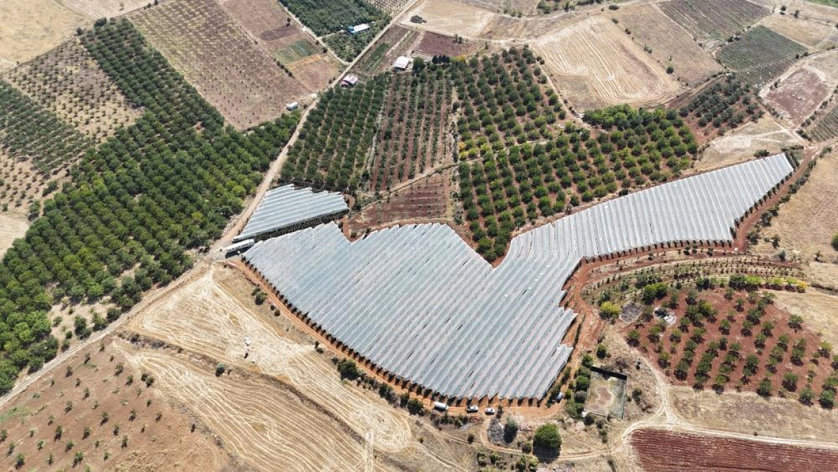 Hasadı Yapılan Elma Tarlada 10, Markette 40 TL!