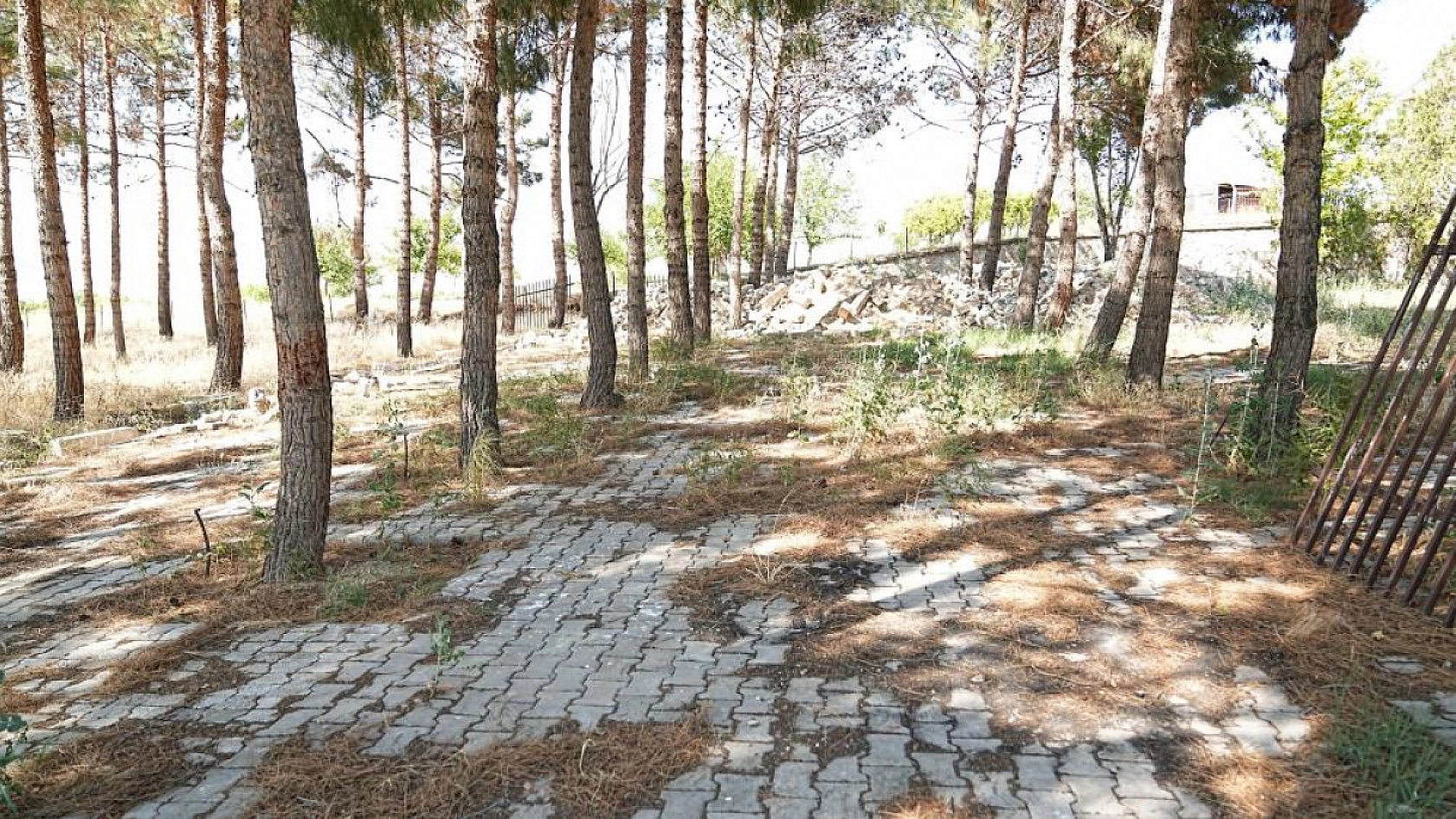 Battalgazi'de her mahalleye nefes aldıran dokunuşlar! Mahalle kültürü canlanacak....