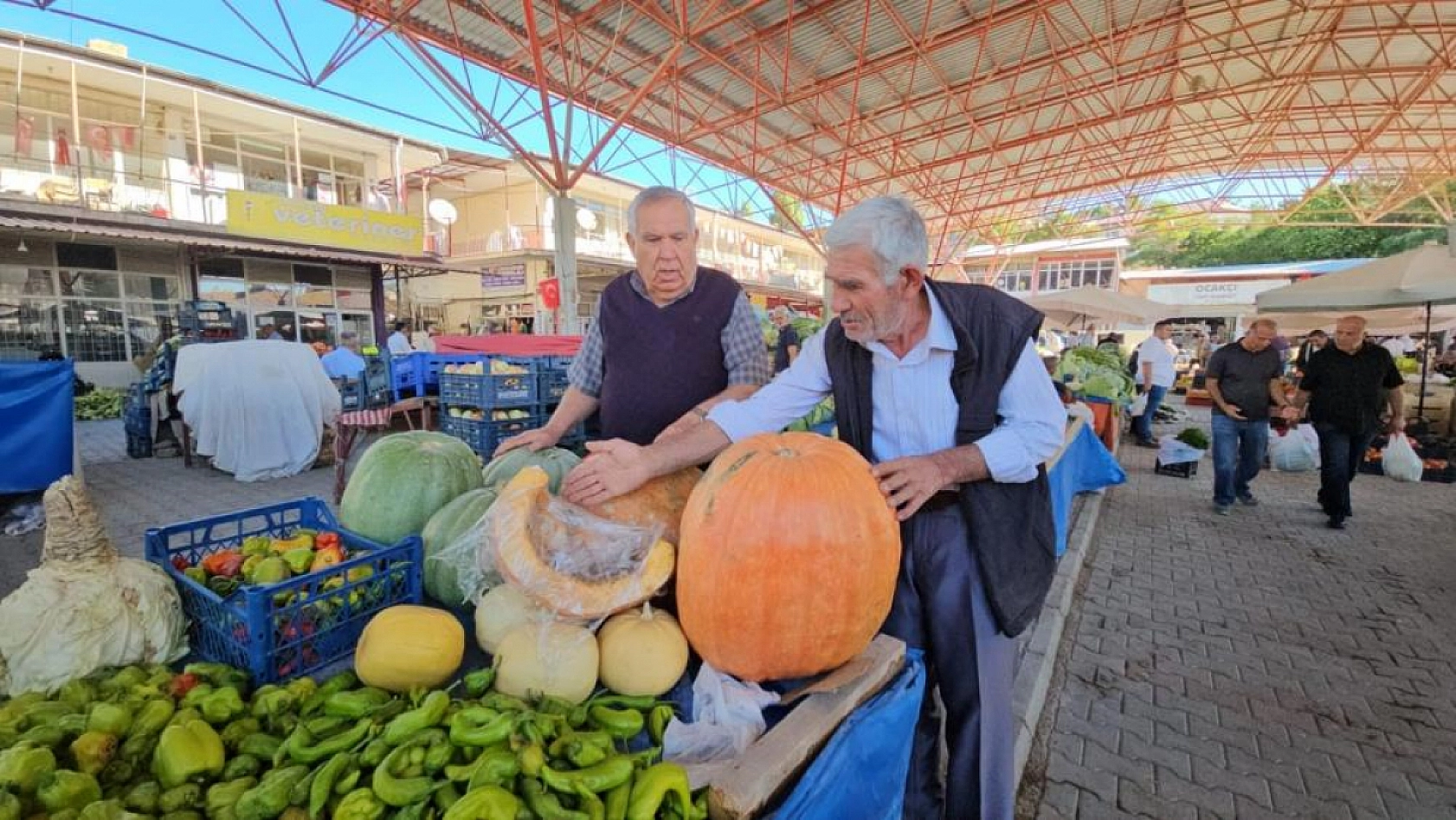 Darende'nin meşhur bal kabağı üreticinin yüzünü güldürüyor