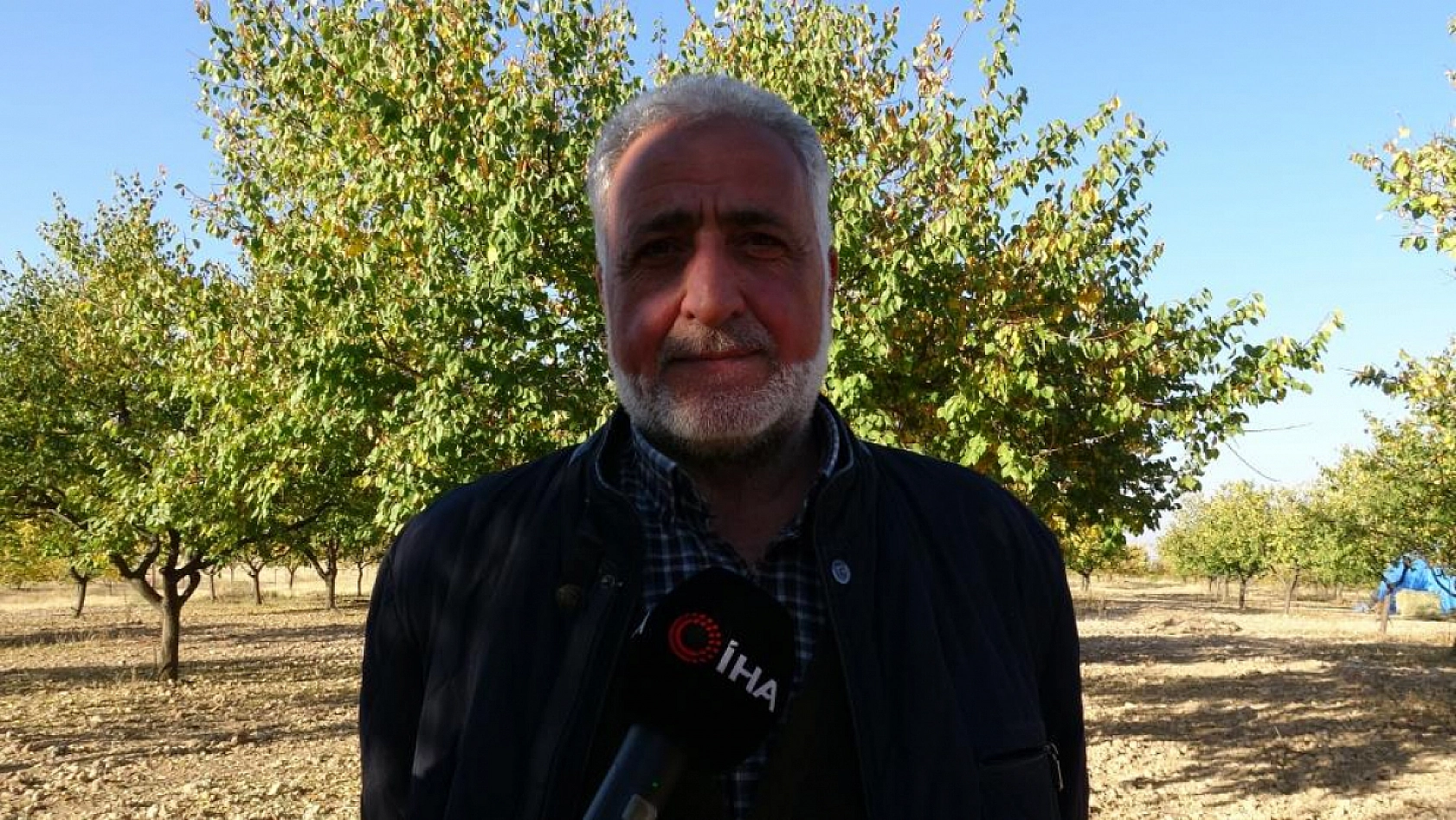 Malatya'da kayısı bahçeleri yeniden canlandı! Çiftçiler yeni sezona umutlu....