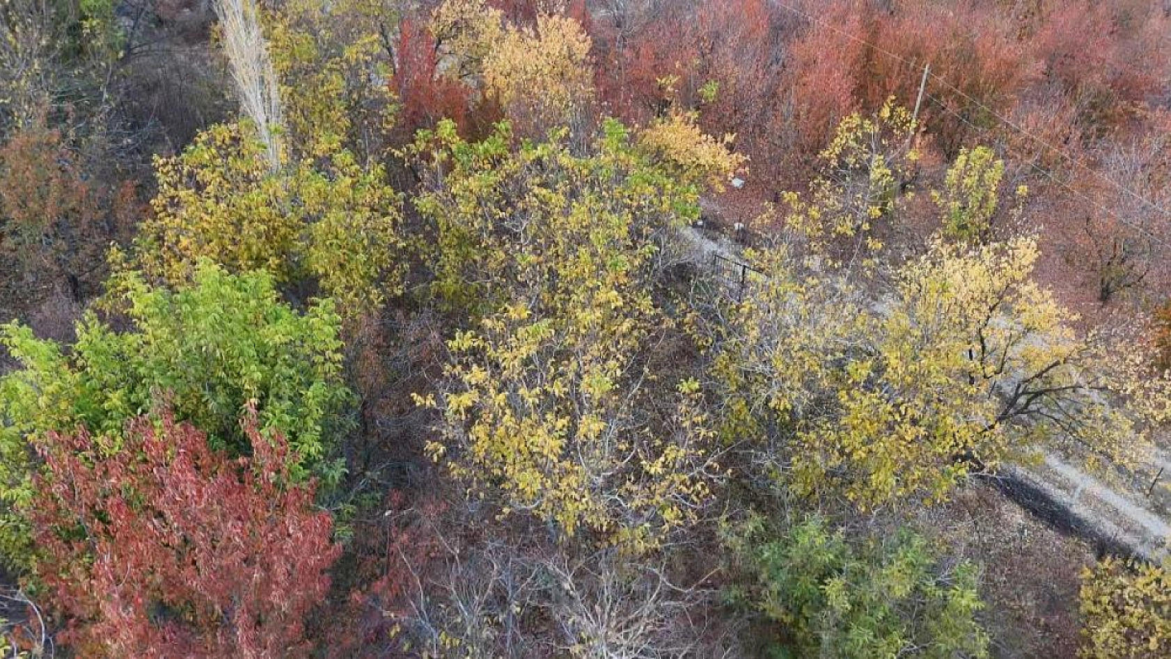 Malatya'da sonbahar tüm güzelliğiyle görsel şölene dönüştü