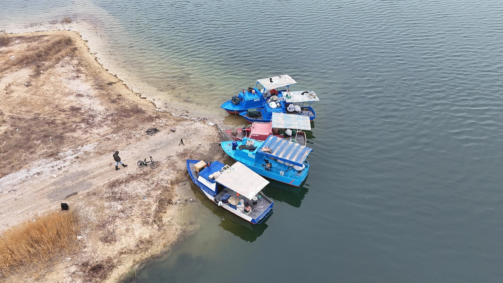 Malatya'nın gelir kapısı oldu: Günlük 2 ton toplanıyor, Ortadoğu ülkelerine satılıyor…