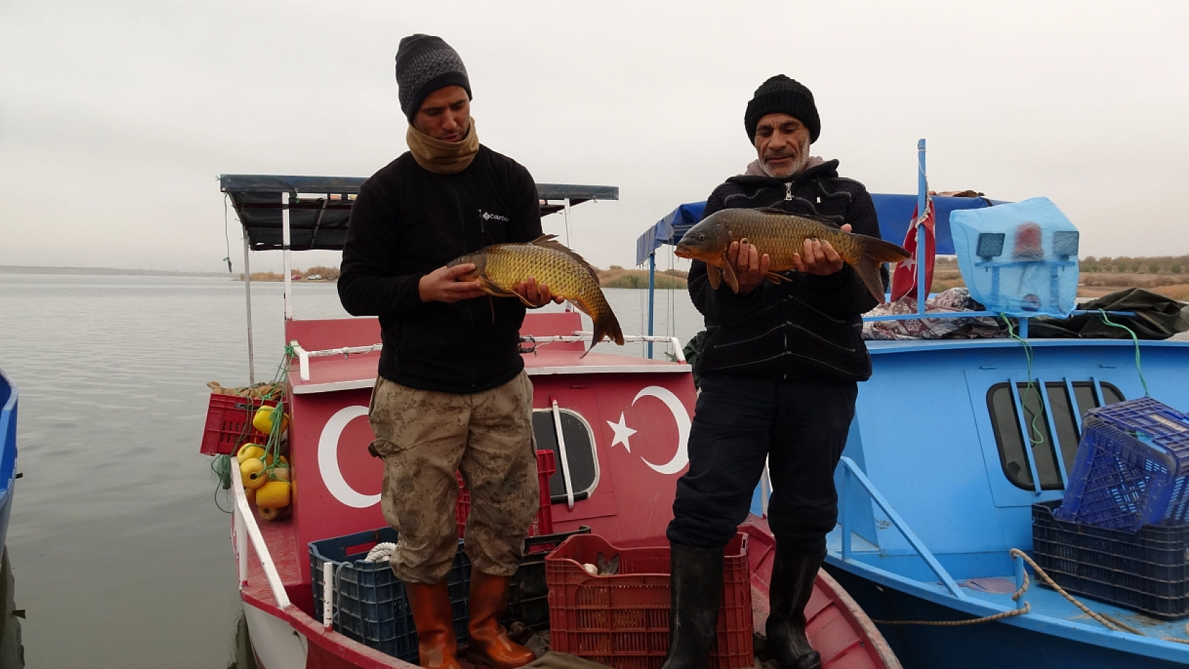 Malatya'nın gelir kapısı oldu: Günlük 2 ton toplanıyor, Ortadoğu ülkelerine satılıyor…