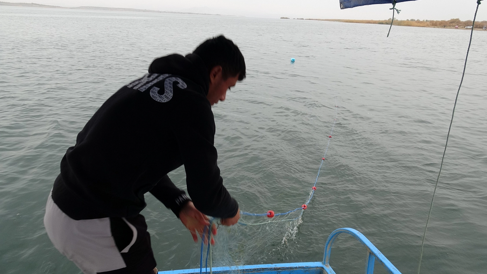 Malatya'nın gelir kapısı oldu: Günlük 2 ton toplanıyor, Ortadoğu ülkelerine satılıyor…