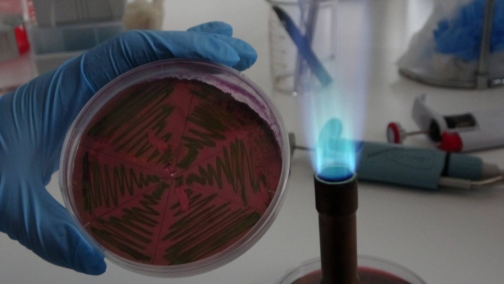 Malatya'da 122 çiğ süt örneği korkuttu! Kaynatmak yetmeyebilir!