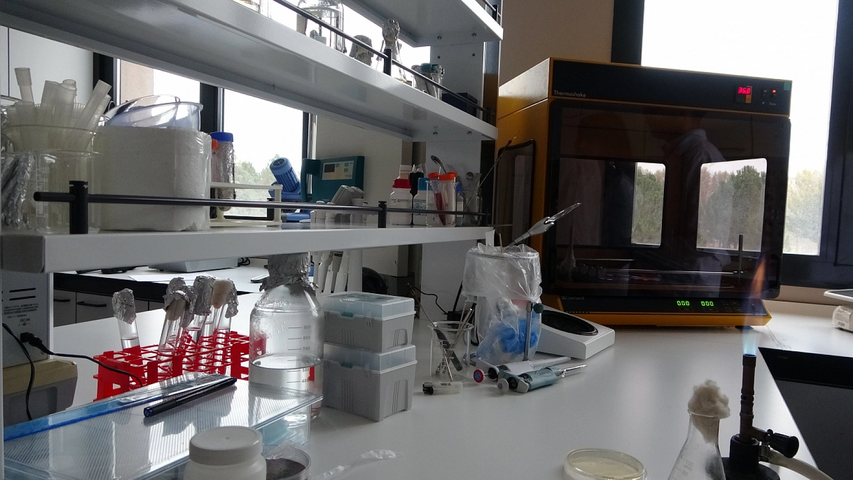 Malatya'da 122 çiğ süt örneği korkuttu! Kaynatmak yetmeyebilir!