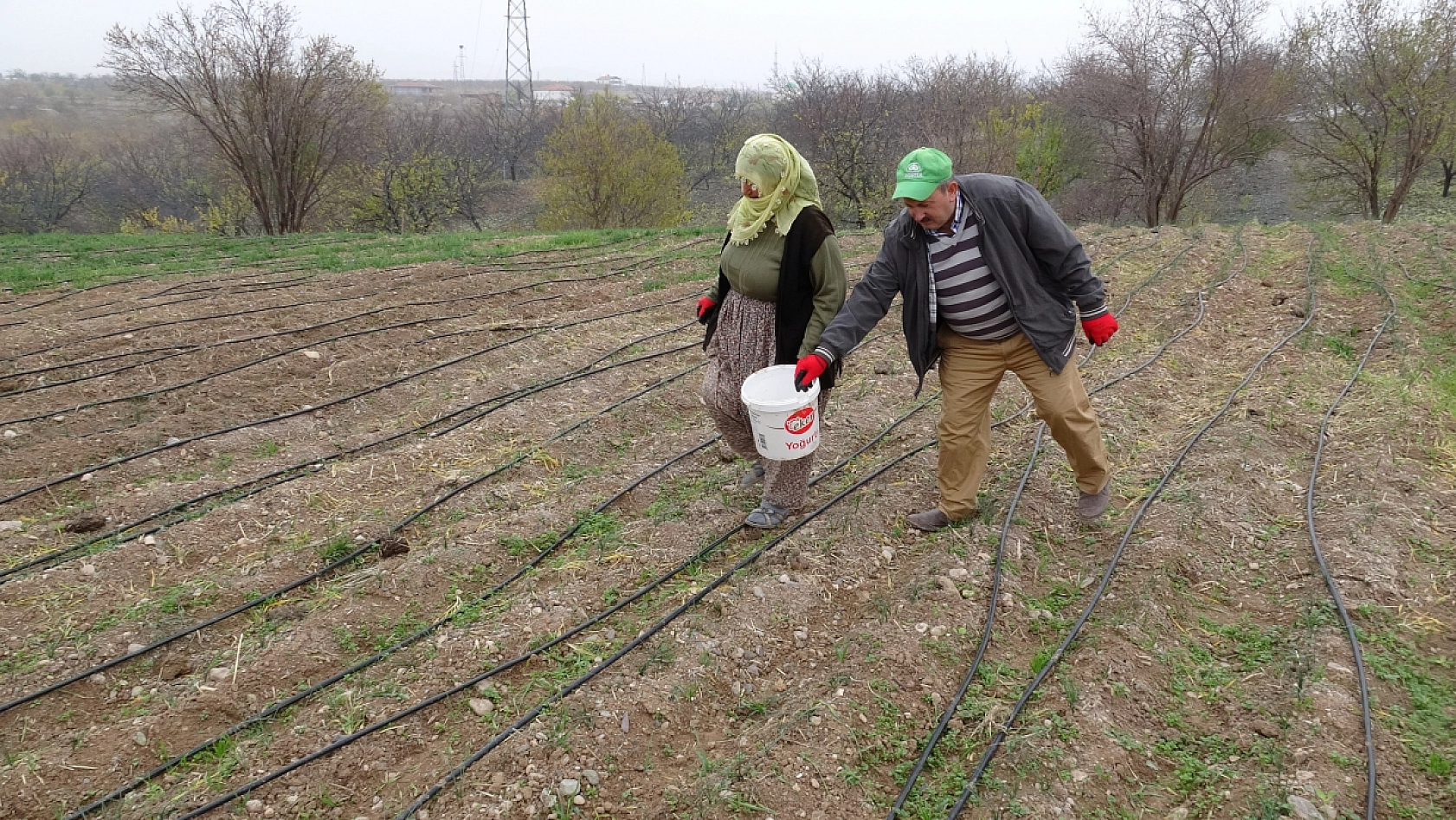 Malatya'nın yeni 'Altın'ı: Gramı 600 liradan satışa sunuldu!