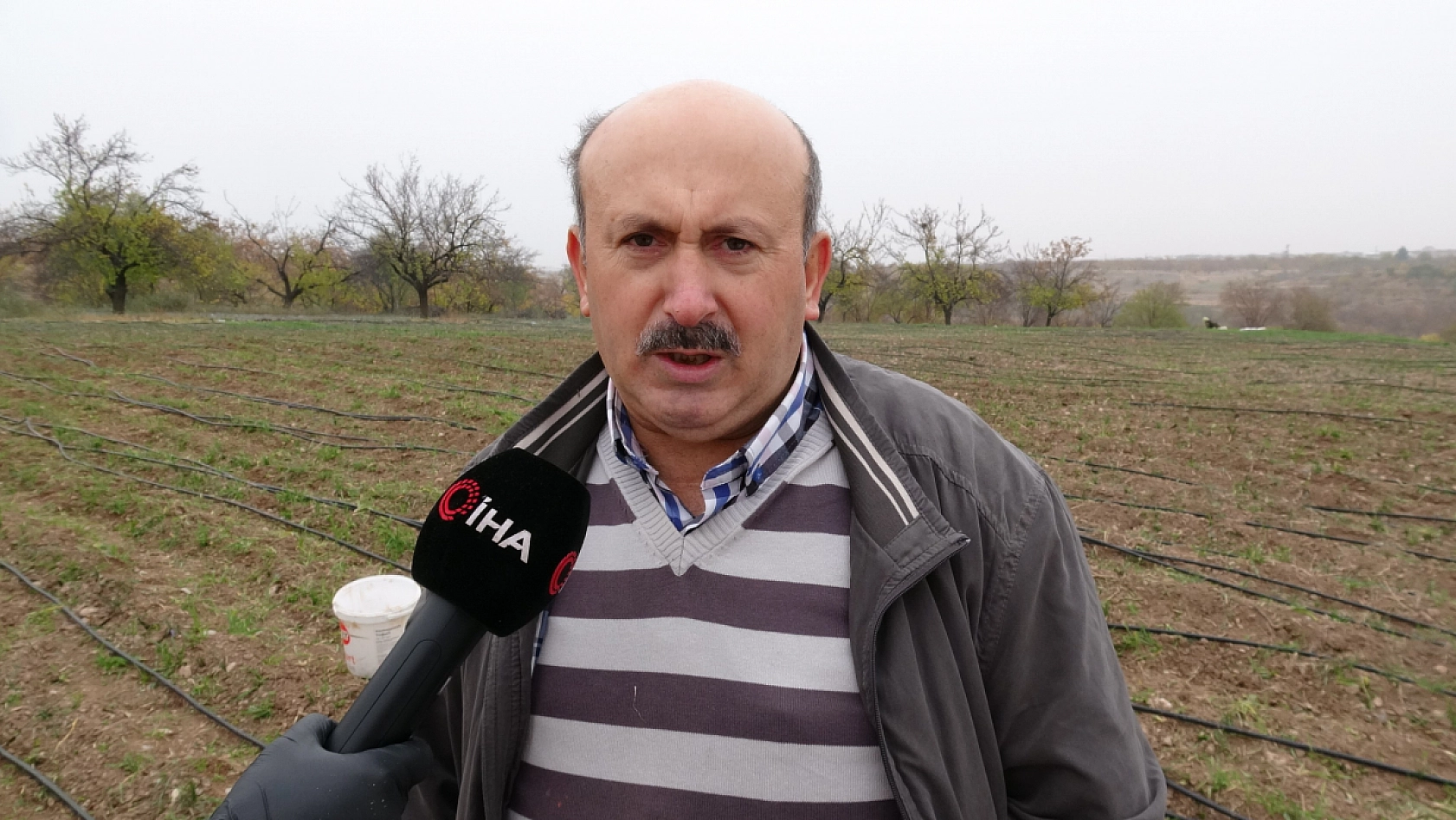 Malatya'nın yeni 'Altın'ı: Gramı 600 liradan satışa sunuldu!