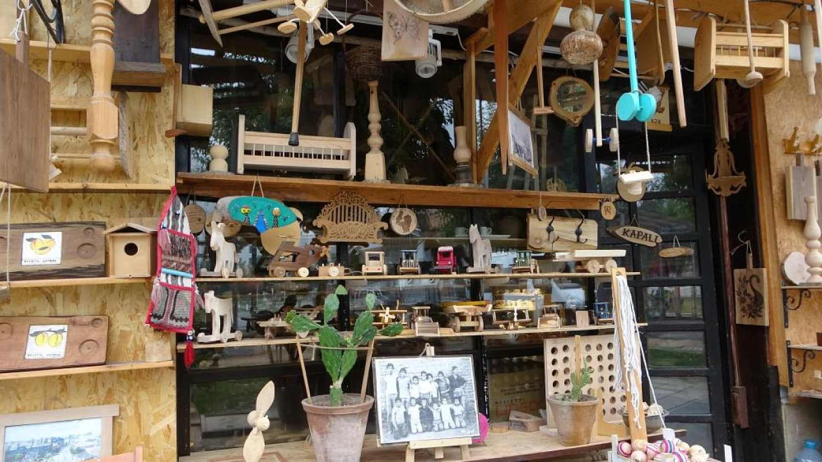 50 yıllık sanat, kurumuş ağaçlarda hayat buluyor