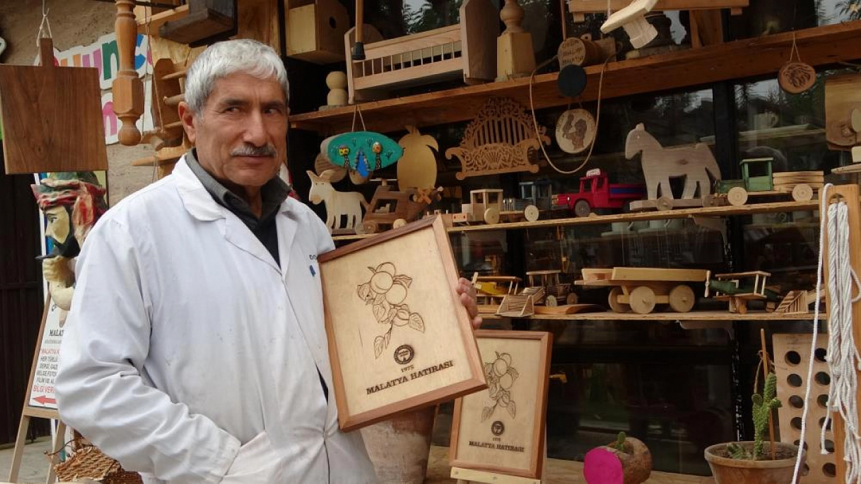 50 yıllık sanat, kurumuş ağaçlarda hayat buluyor