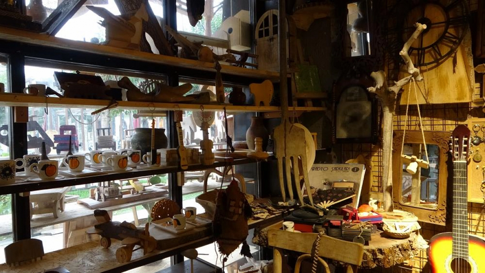 50 yıllık sanat, kurumuş ağaçlarda hayat buluyor