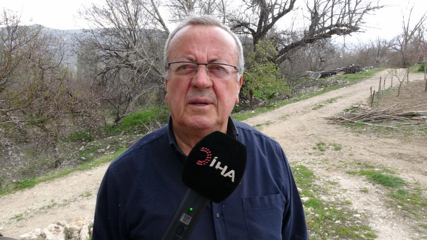 270 yıl geçti ama hala 300 kilo ceviz veriyor! Bu ağacın sırrı ne?