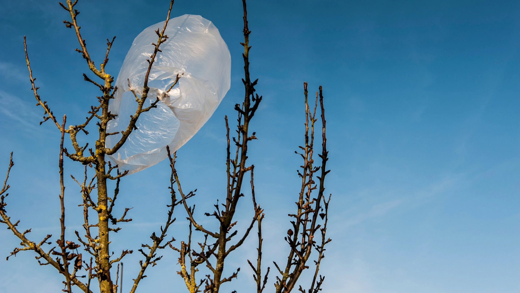 Komisyon Yarın Toplanıyor: Malatya'da Yeni Fiyat Ne Olacak?