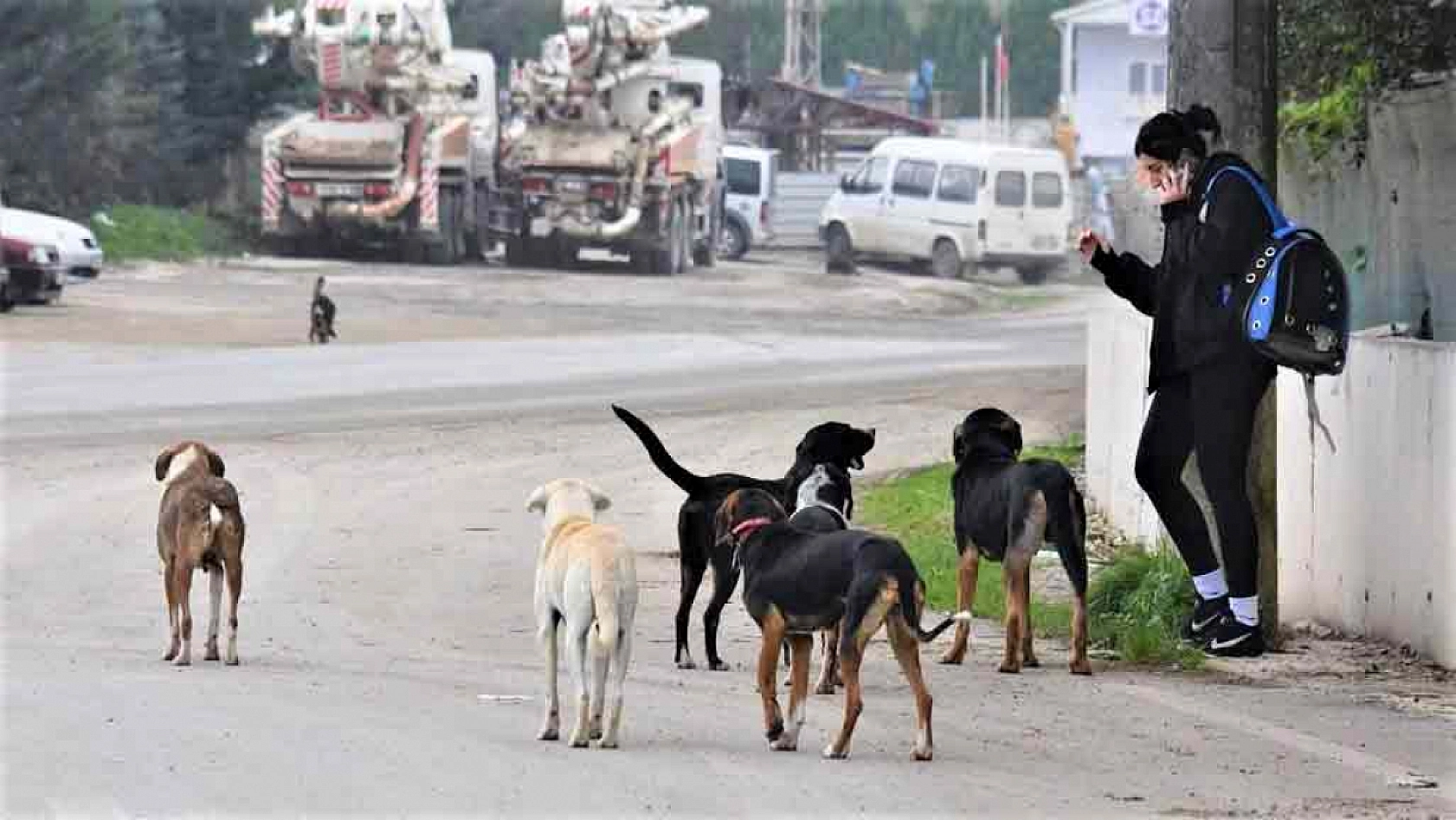 Bakan Yerlikaya valilikleri uyardı: 'Bakım evlerinde, sürekli sayım yapılacak ve paylaşılacak…'