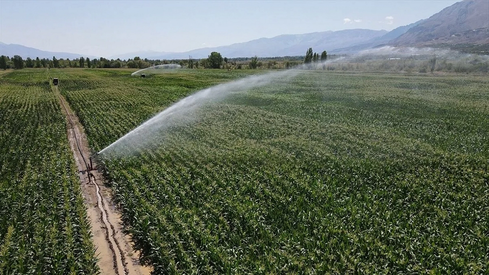 Tarımda Yeni Dönem: Tasarruf Artacak!