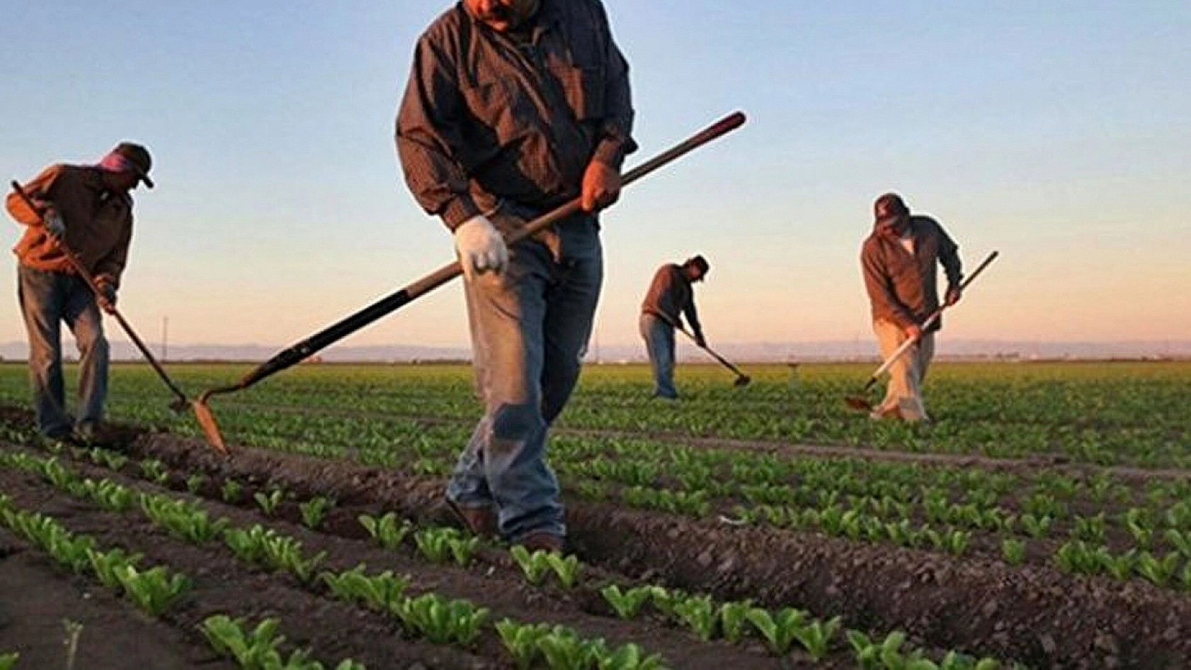 Malatyalı genç çiftçilere müjde! Devletten büyük destek paketi…