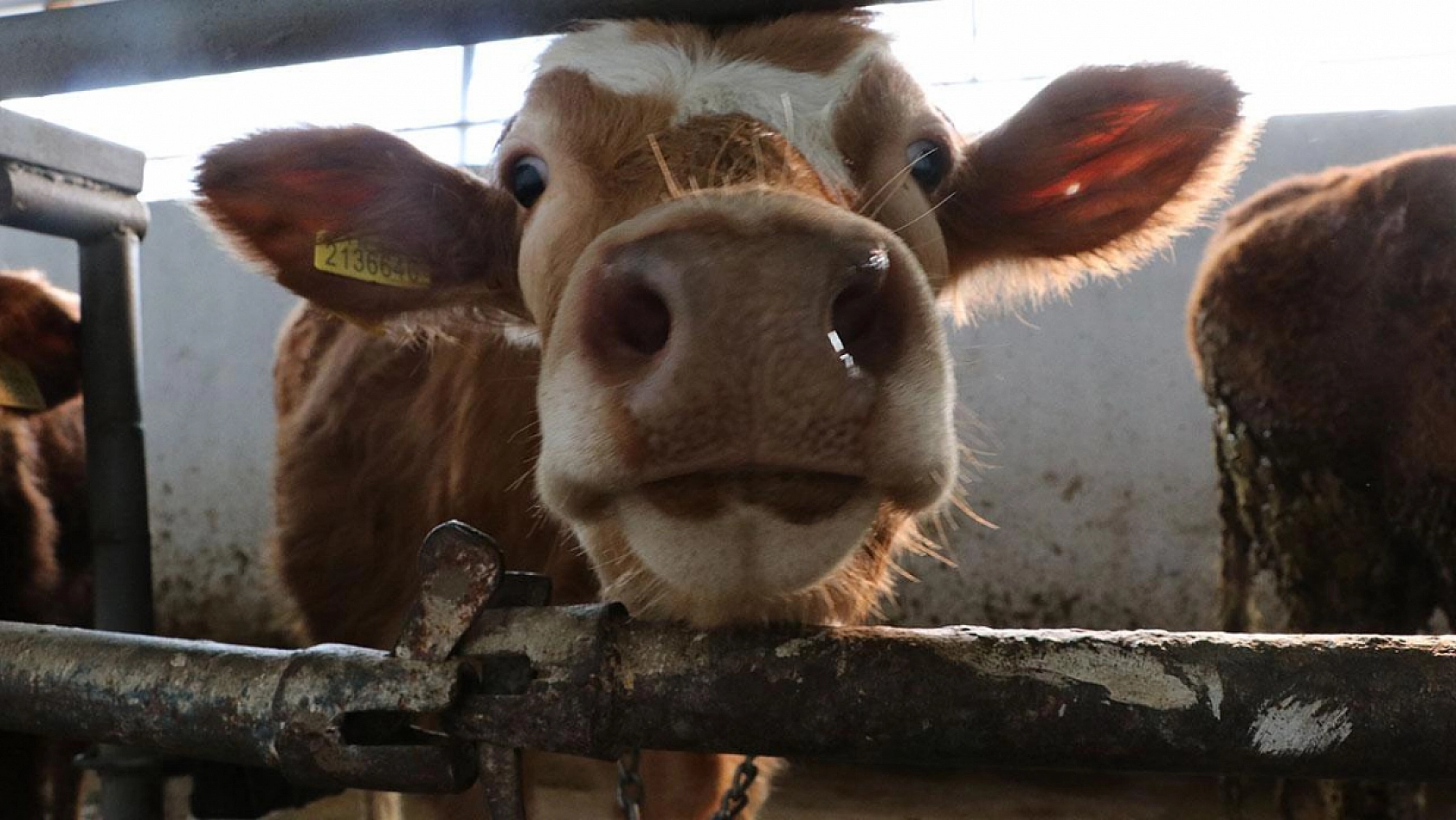 Malatyalılar Dikkat! Başvurular İçin Son Gün!