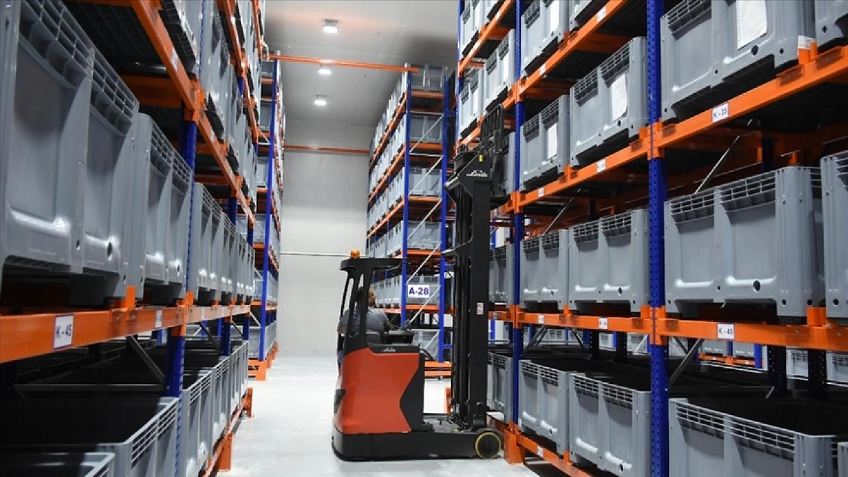 Ağbaba'dan Kayısı Alımı Açıklaması! Fiyatlar Beklentinin Altında!