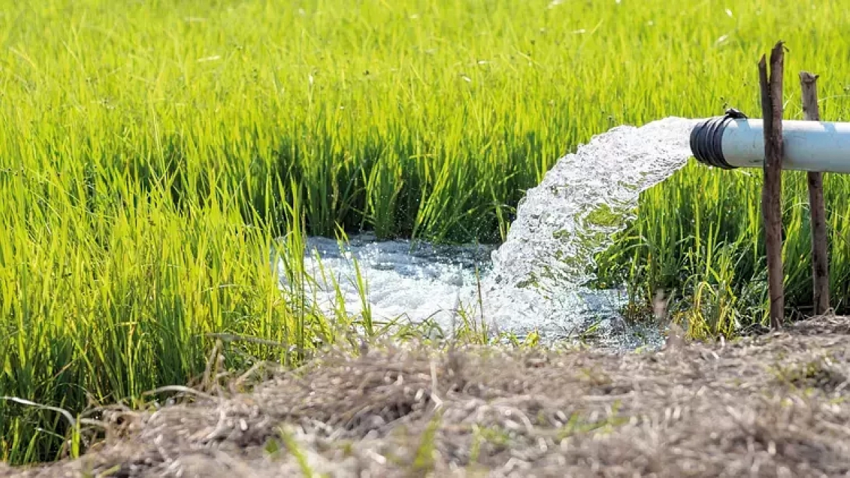 Tarımda Yeni Dönem: Tasarruf Artacak!