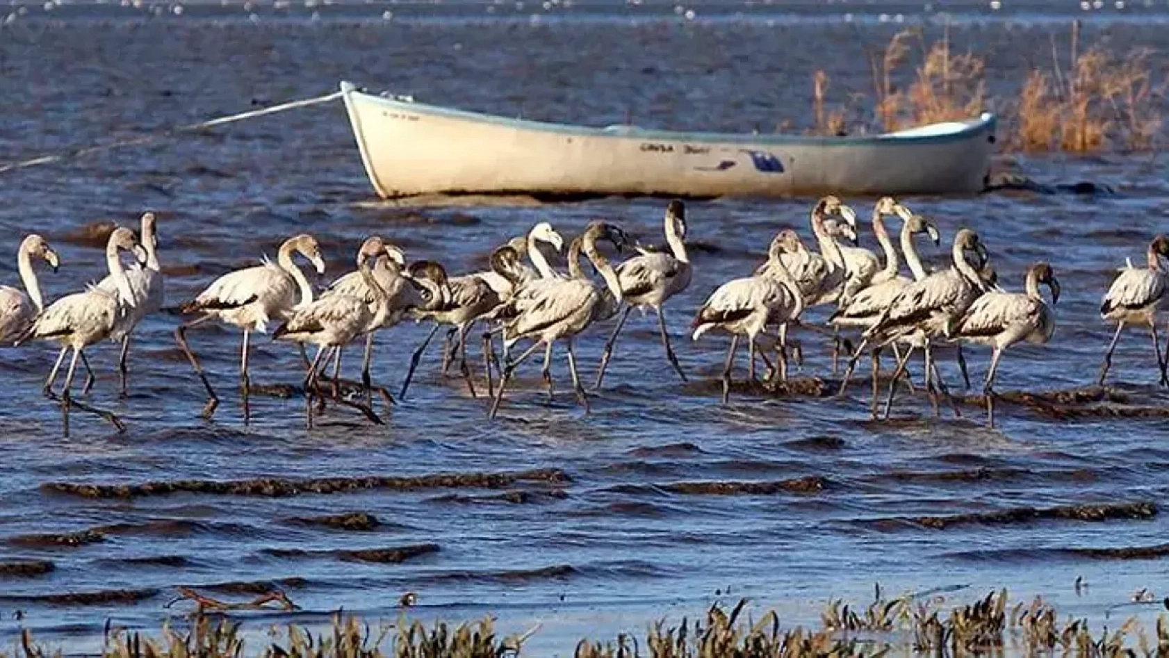 Bakanlık Harekete Geçiyor: Eylem Planı Hazırlanacak!