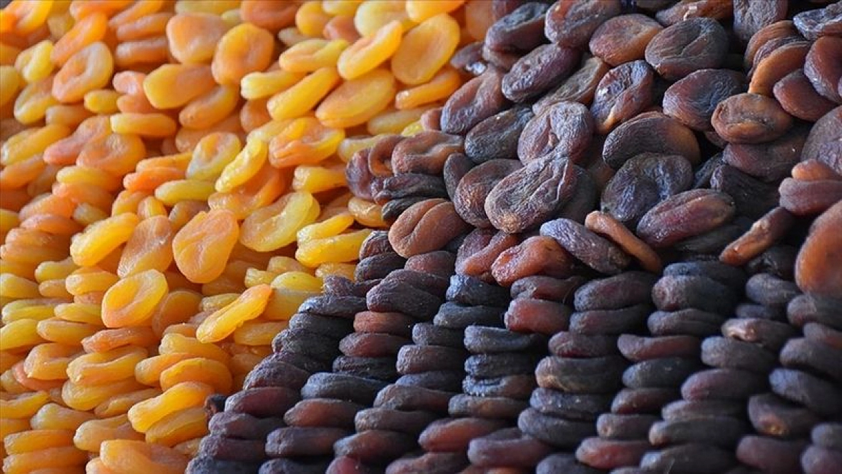 Ağbaba'dan Kayısı Alımı Açıklaması! Fiyatlar Beklentinin Altında!