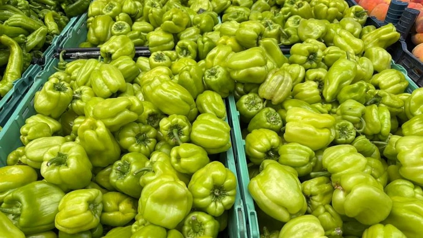 Malatya Hal Pazarı Fiyatları Açıklandı: En Ucuz Sebze ve Meyveler Belli Oldu