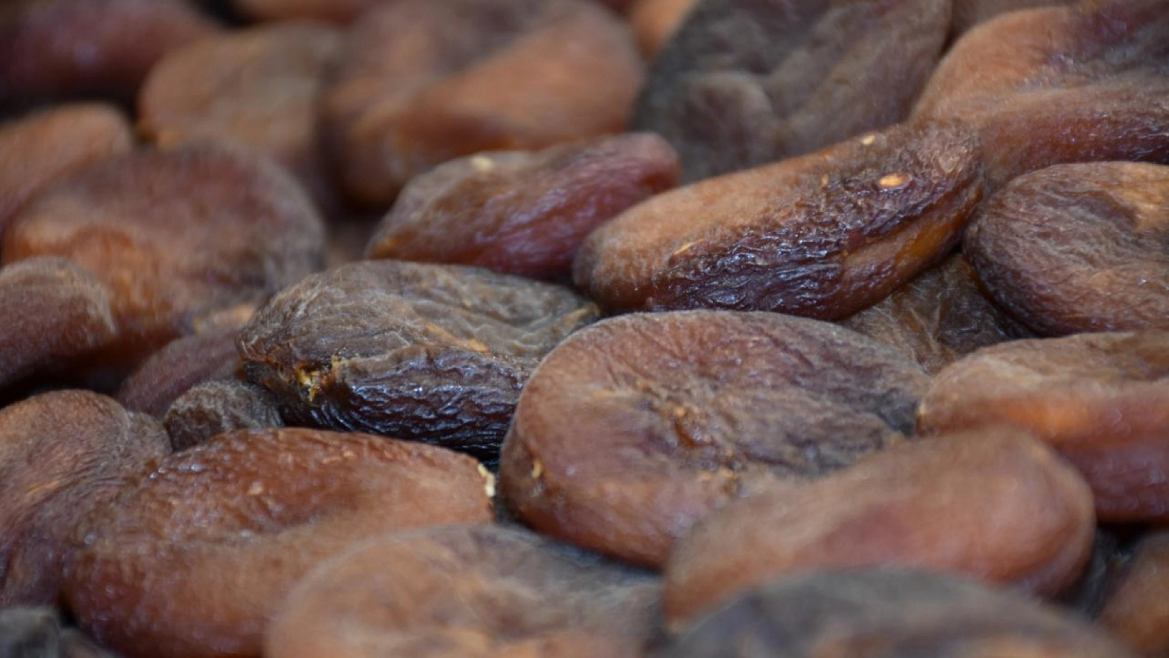 Ağbaba'dan Kayısı Alımı Açıklaması! Fiyatlar Beklentinin Altında!