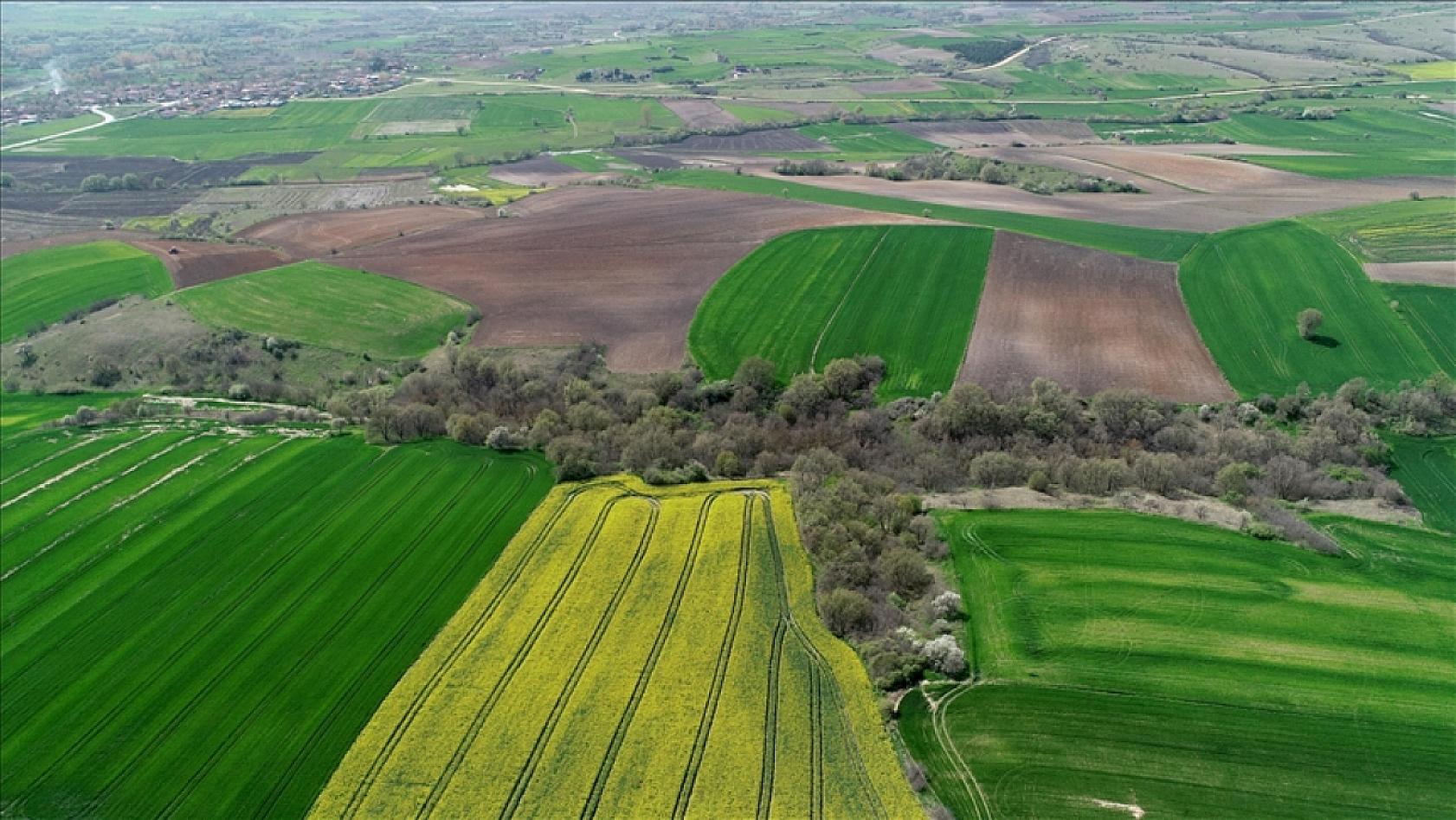 Tapuda gizlenen bilgiler tüm birikiminizi silebilir! Peki, konut ve arsa alırken nelere dikkat etmeli?