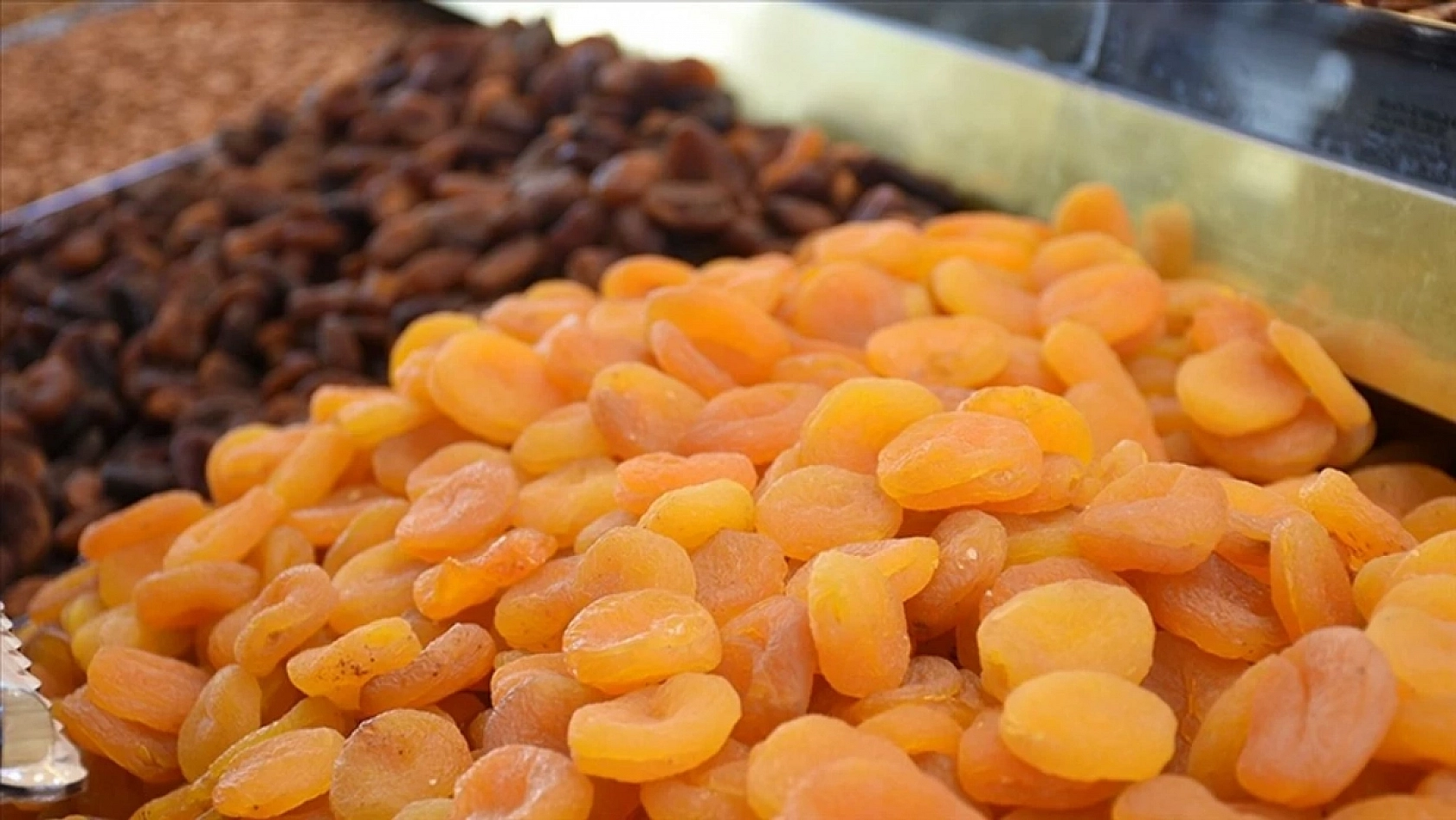 Ekim Ayında Malatya'nın Yüzü Güldü: Kasa Dolmaya Başladı!