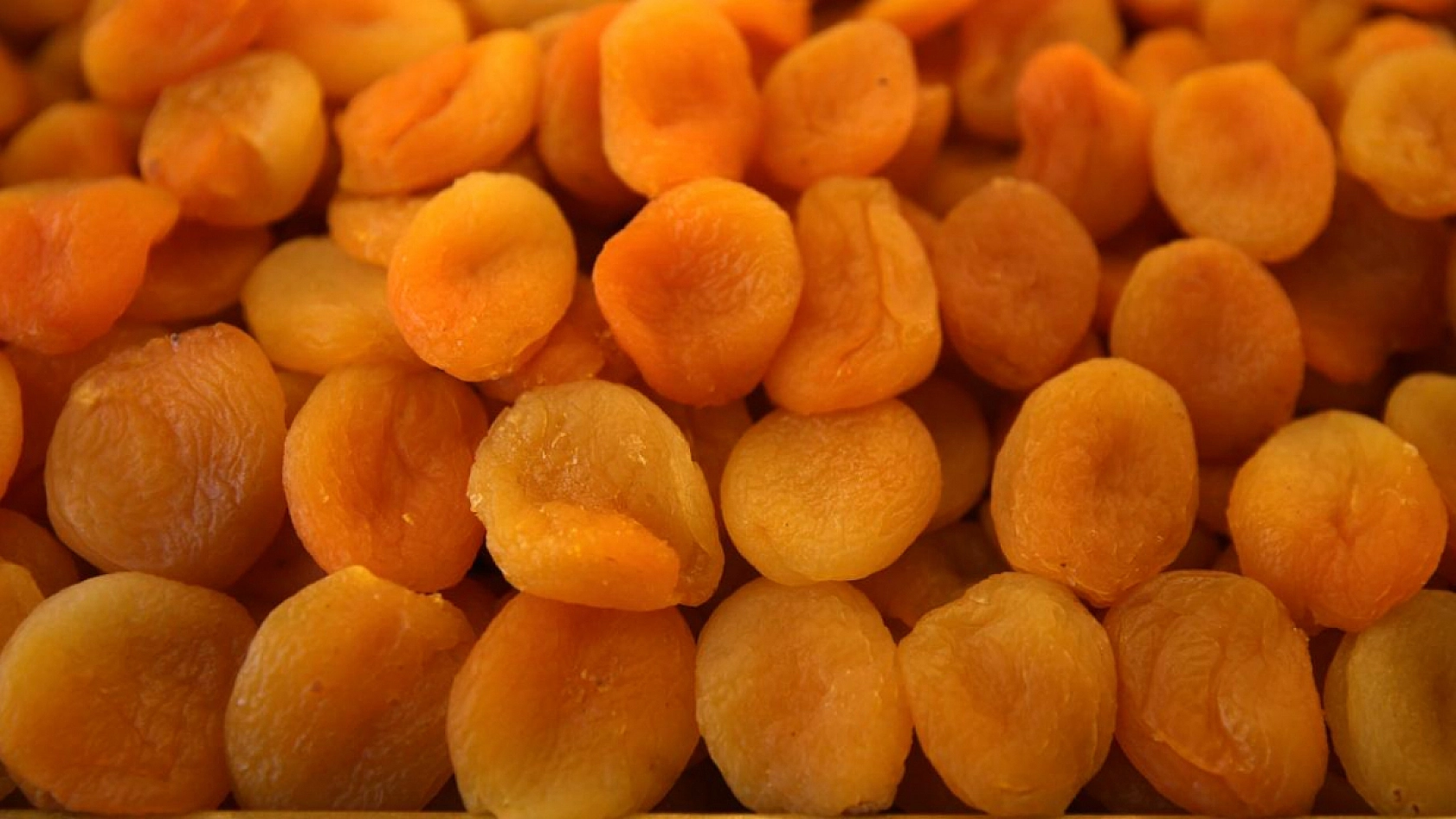 Malatya Kayısısı Tehlikede: Avrupa'dan Geri Gönderiliyor!