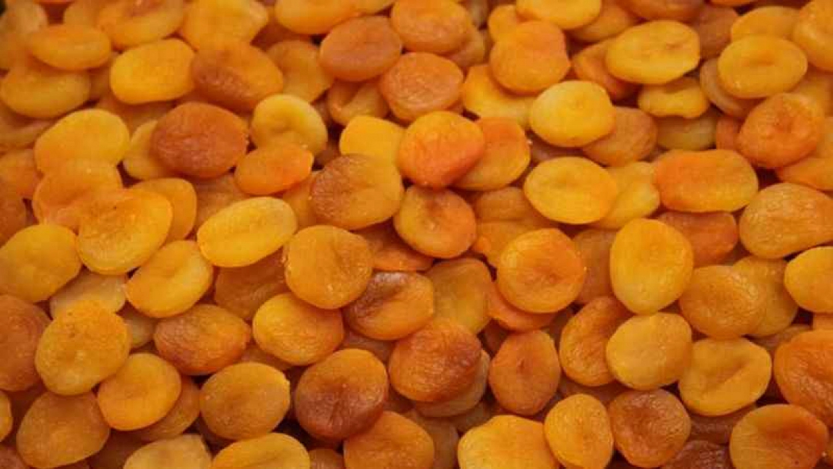 Kuru Kayısı Fiyatı Şaşırttı: Bu Defa Marketler Değil Üretici Kazandı!