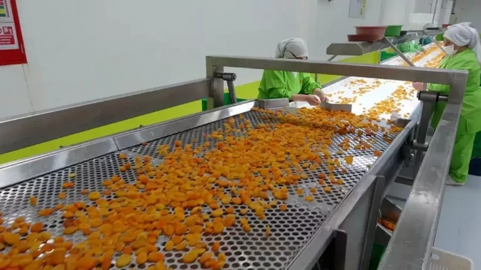 Malatya Kayısısı Tehlikede: Avrupa'dan Geri Gönderiliyor!