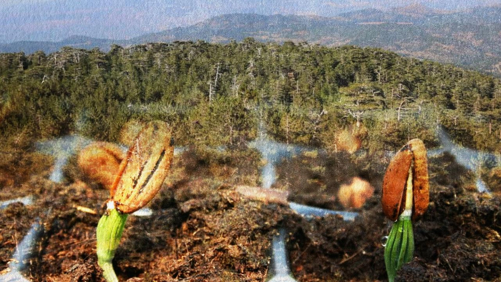 Malatyaspor'un çağrısı dalga dalga yayılıyor: Elazığ, Sivas, Erzurum….