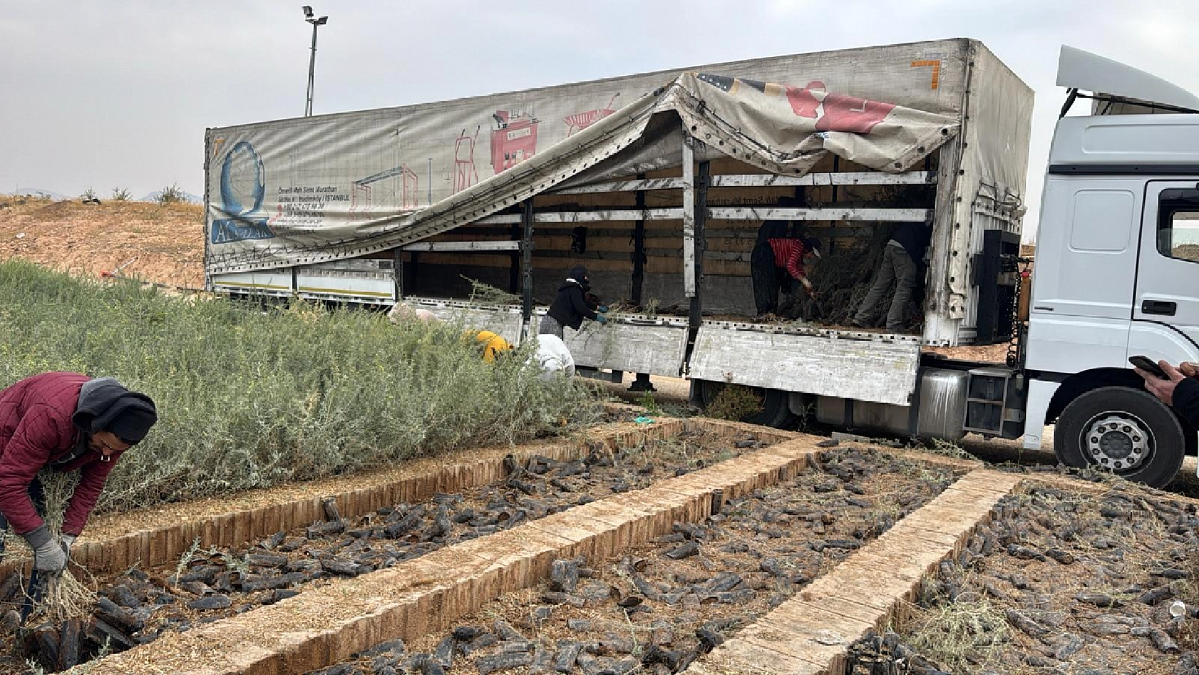 Dünya Bankası Desteğiyle Mardin'de Üretildi! Malatya'da Meralara Can Katacak...