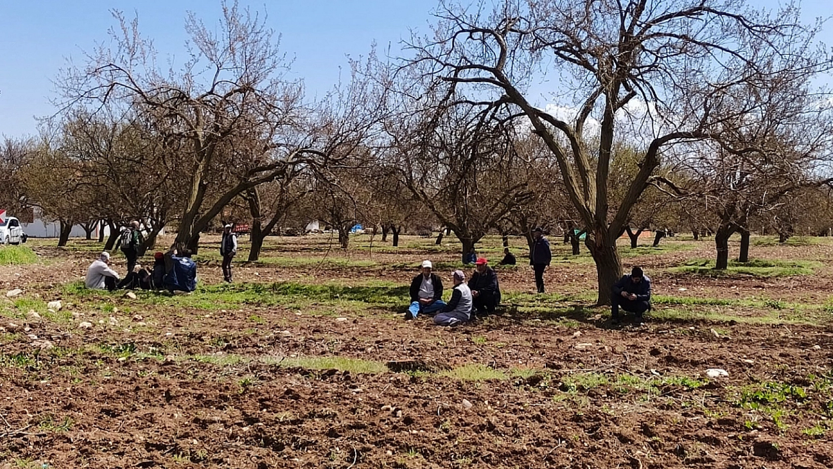 Vali Yavuz'dan Dikkat Çeken Kayısı Yorumu: 'Vatandaşın Yürüyüşü Değişirdi'