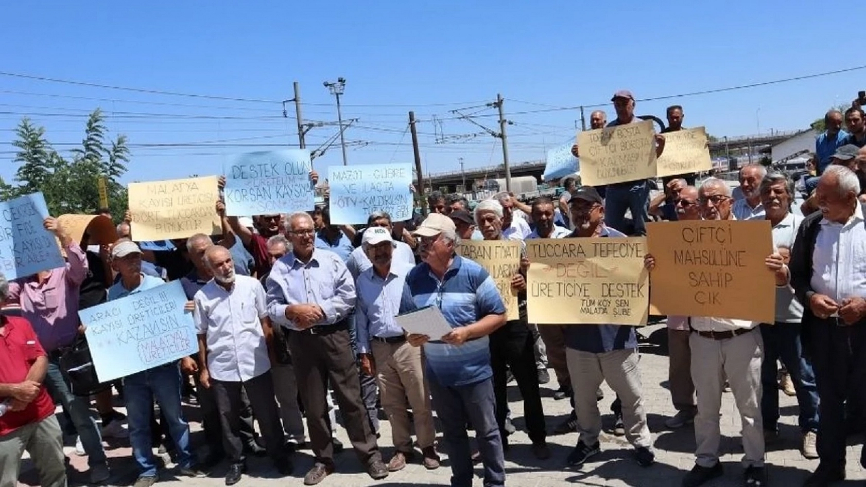 Ağbaba'dan Kayısı Alımı Açıklaması! Fiyatlar Beklentinin Altında!
