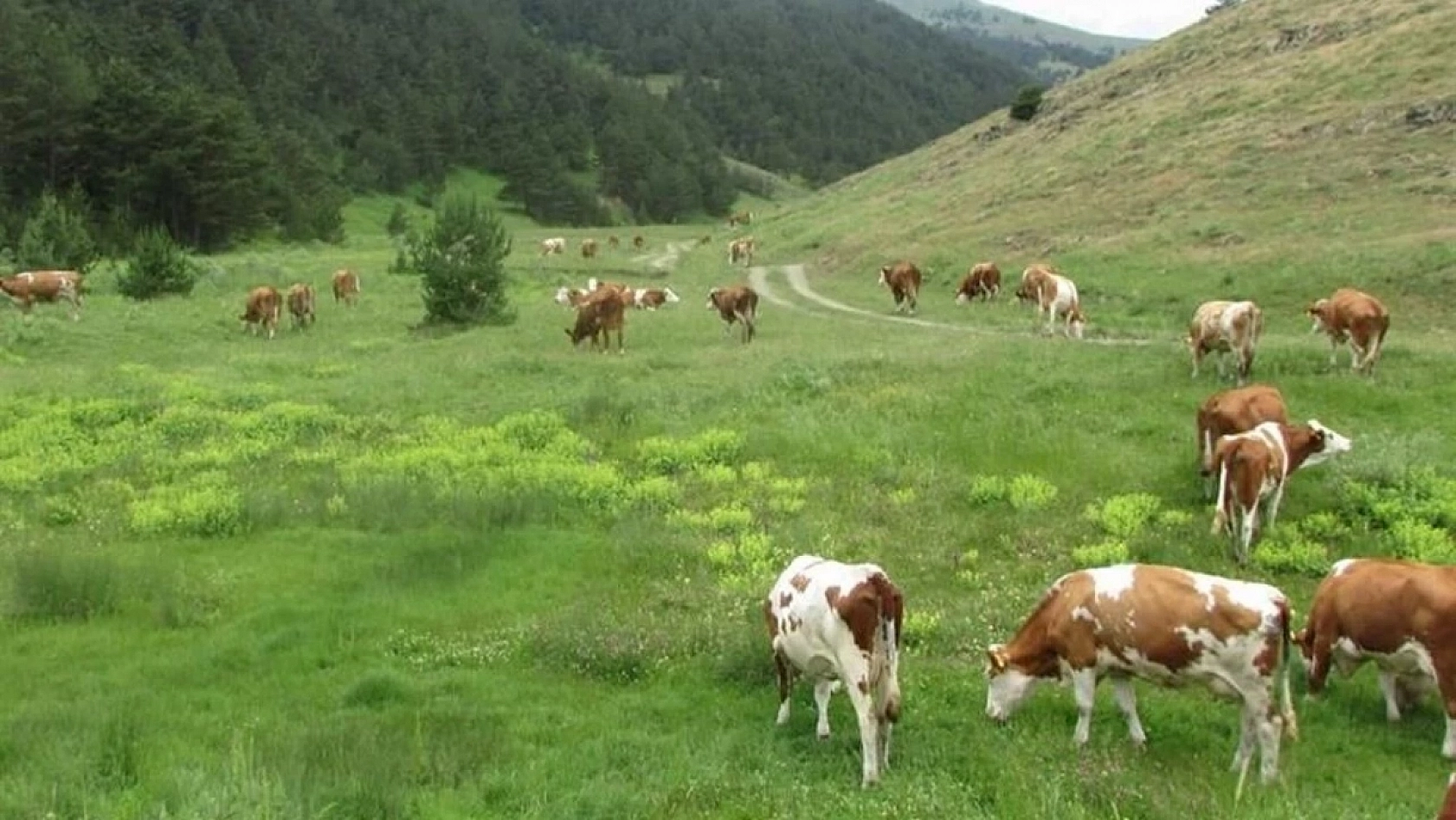 Malatyalılar Dikkat: Ev Yapma Fırsatı Uzatıldı! İşte Detaylar…