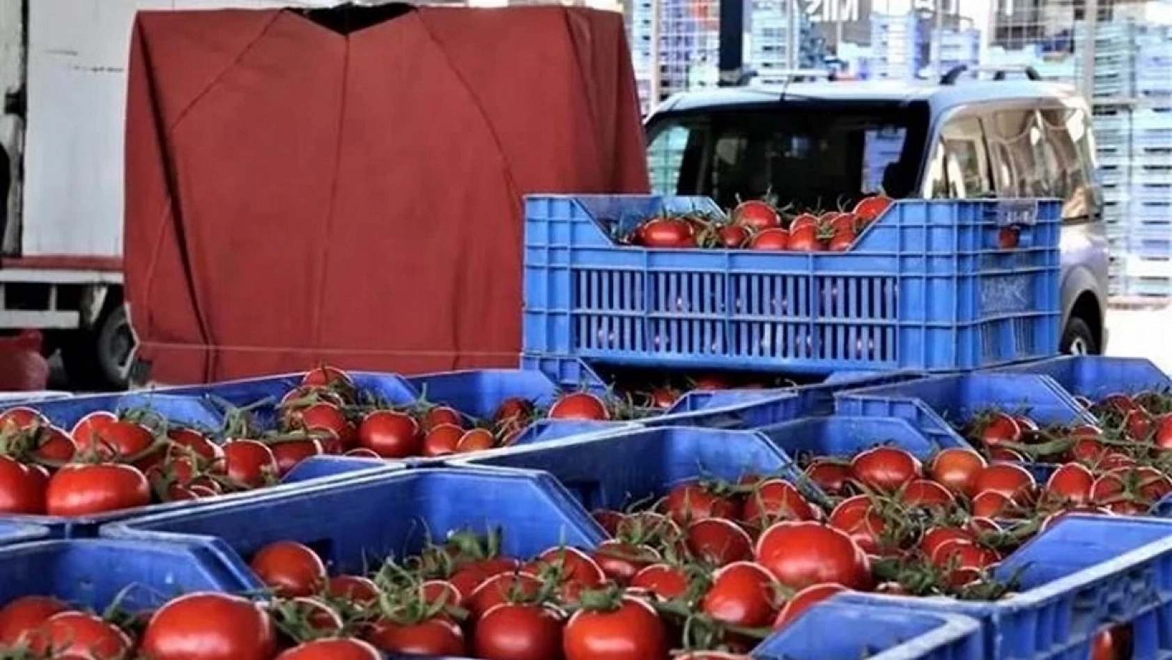 Uygun Fiyata Alışveriş Yapmak İsteyen Vatandaşlar Malatya Haline Koşuyor: Peki Halde Fiyatlar Nasıl? İşte 12 Ocak Fiyat Listesi…