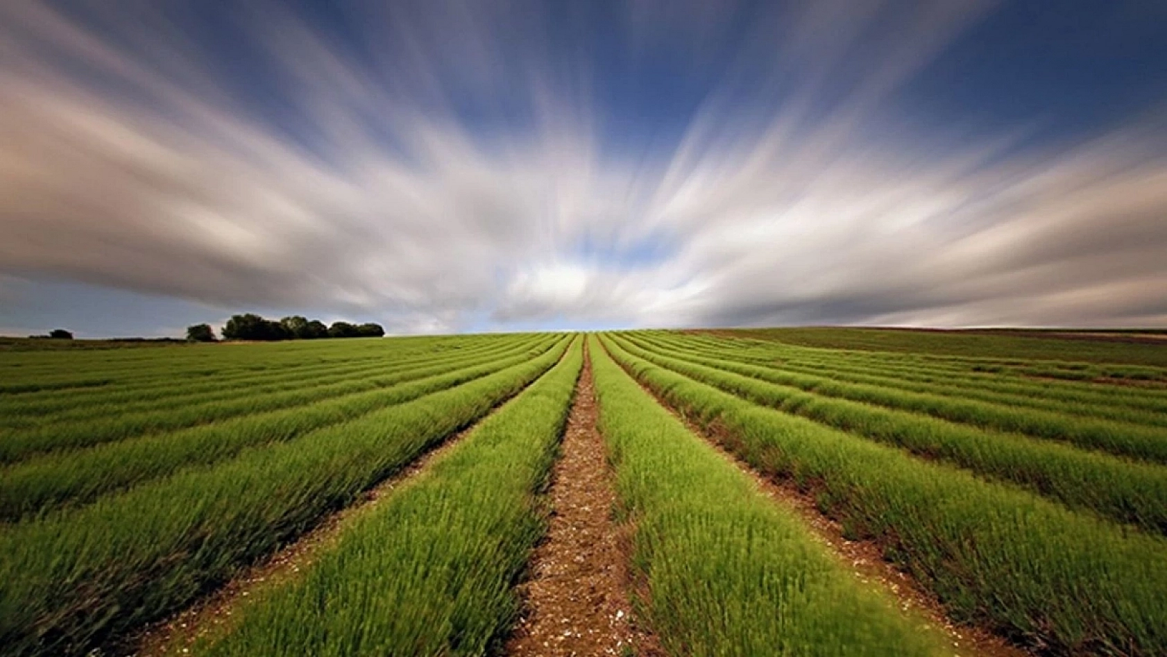 Uygun Fiyata Arsa Arayan Acele Etsin: TOKİ Malatya'da Arsa Satacak