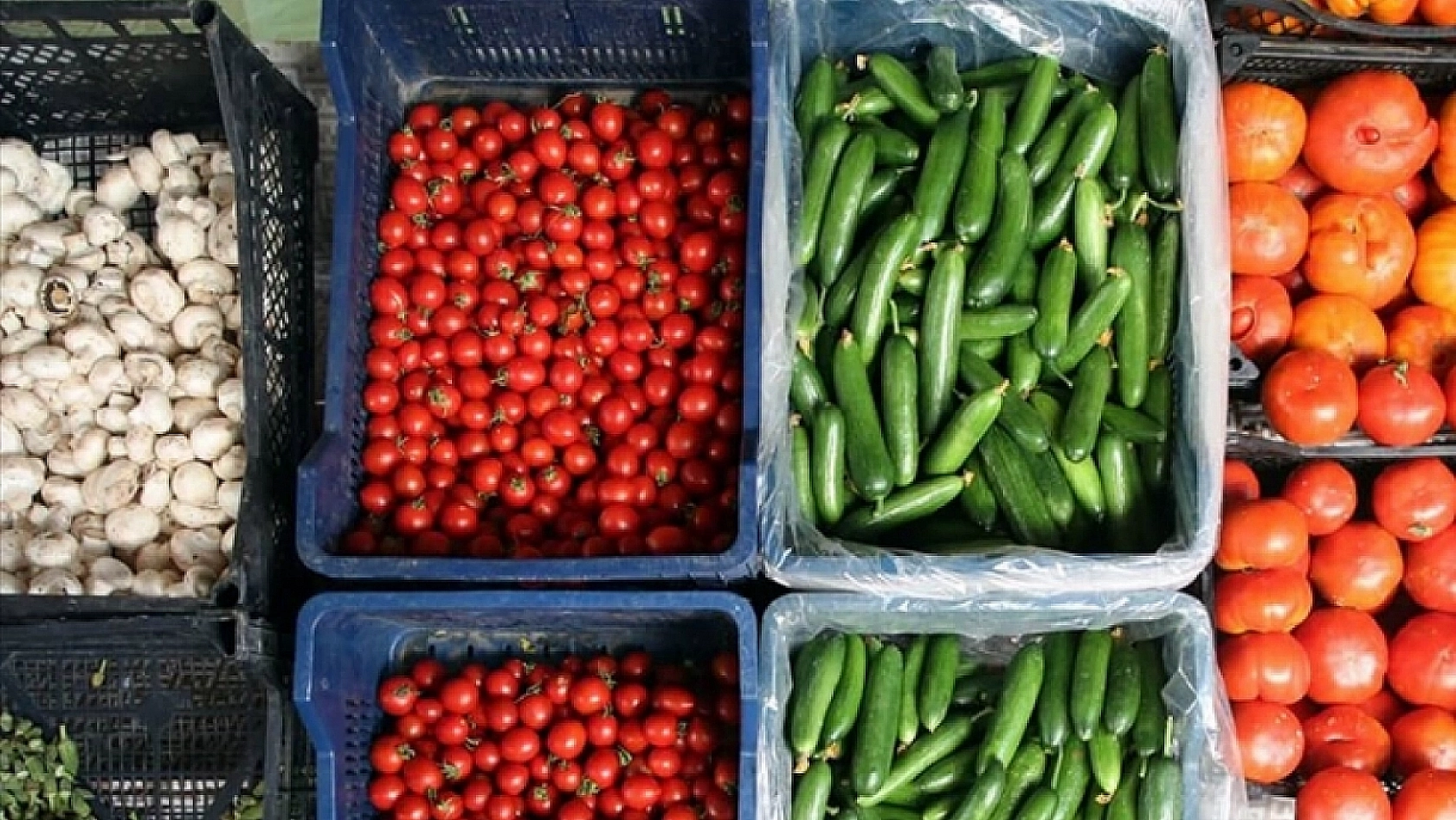 Cebini Düşünen Vatandaşlar Malatya Haline Koşuyor: Peki Halde Fiyatlar Nasıl? İşte 7 Aralık Fiyat Listesi…