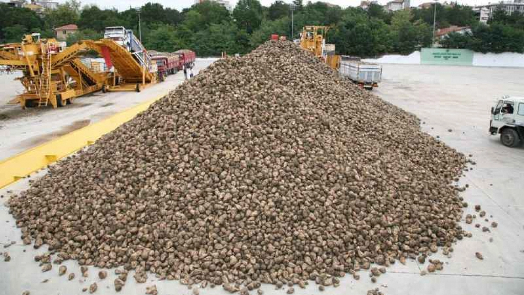 Malatya'da Pancar Alım Fiyatı Beklentiyi Karşıladı Mı? Üretici Ne Diyor?